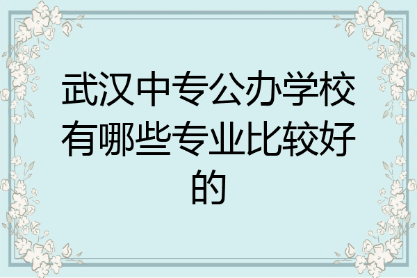 武汉中专公办学校有哪些专业比较好的