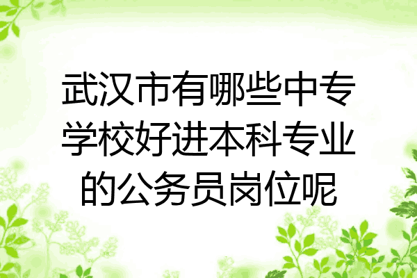 武汉市有哪些中专学校好进本科专业的公务员岗位呢