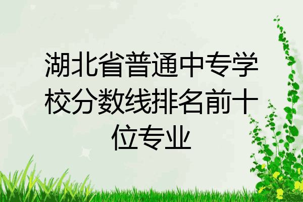 湖北省普通中专学校分数线排名前十位专业