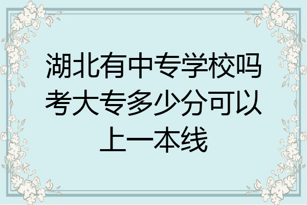湖北有中专学校吗考大专多少分可以上一本线