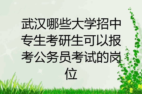 武汉哪些大学招中专生考研生可以报考公务员考试的岗位