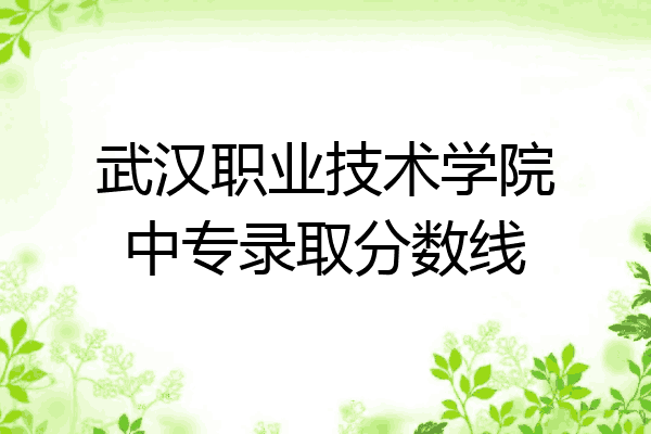 武汉职业技术学院中专录取分数线