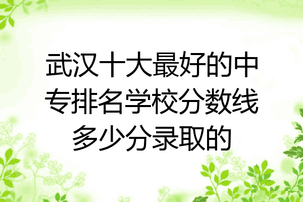 武汉十大最好的中专排名学校分数线多少分录取的
