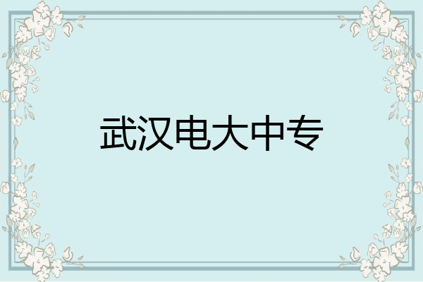 武汉电大中专