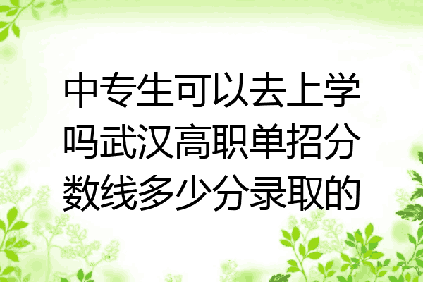 中专生可以去上学吗武汉高职单招分数线多少分录取的