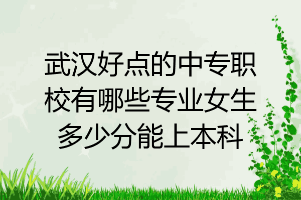 武汉好点的中专职校有哪些专业女生多少分能上本科