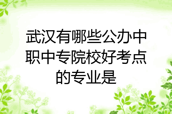 武汉有哪些公办中职中专院校好考点的专业是