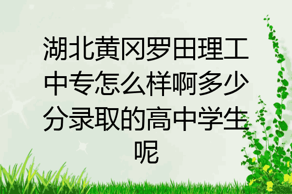湖北黄冈罗田理工中专怎么样啊多少分录取的高中学生呢