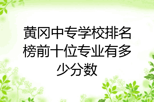 黄冈中专学校排名榜前十位专业有多少分数