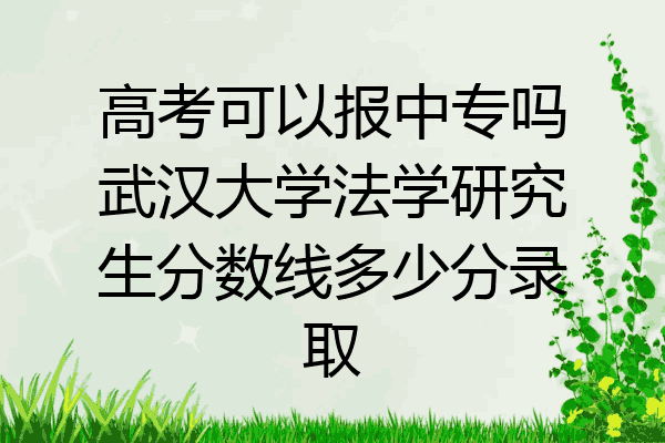 高考可以报中专吗武汉大学法学研究生分数线多少分录取