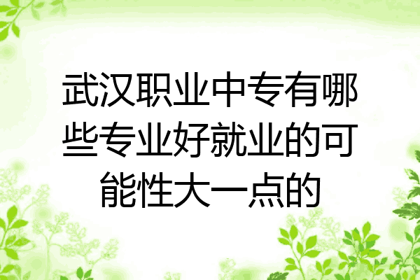 武汉职业中专有哪些专业好就业的可能性大一点的