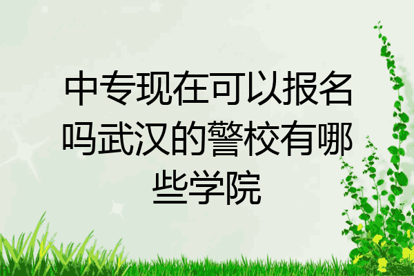 中专现在可以报名吗武汉的警校有哪些学院
