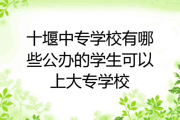 十堰中专学校有哪些公办的学生可以上大专学校