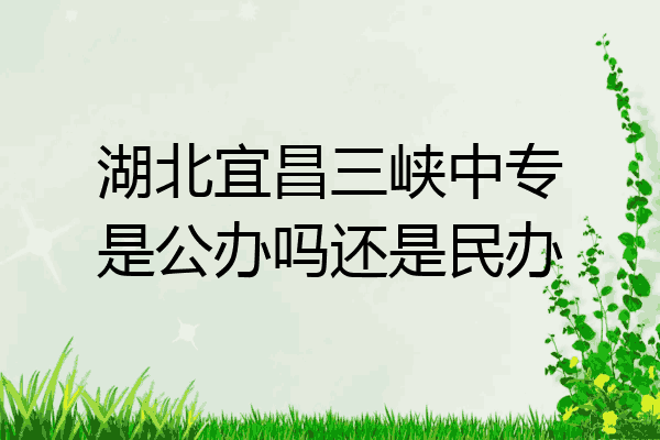 湖北宜昌三峡中专是公办吗还是民办
