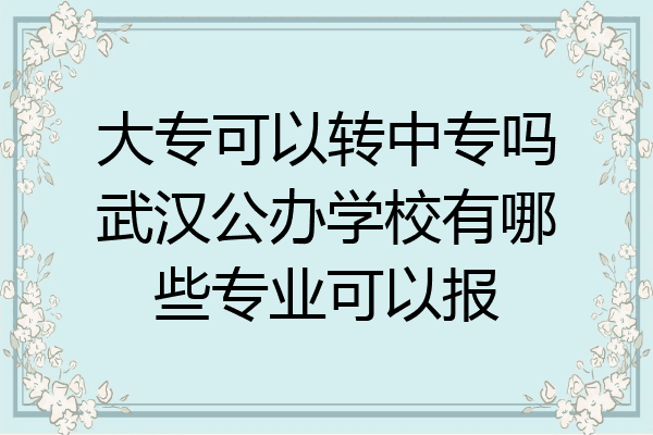 大专可以转中专吗武汉公办学校有哪些专业可以报