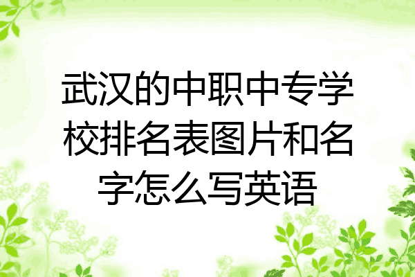 武汉的中职中专学校排名表图片和名字怎么写英语