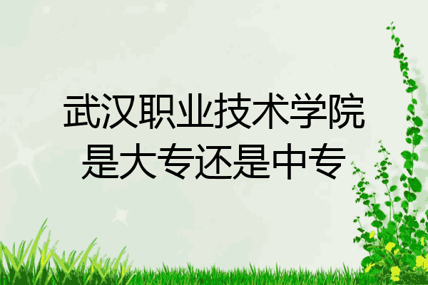武汉职业技术学院是大专还是中专