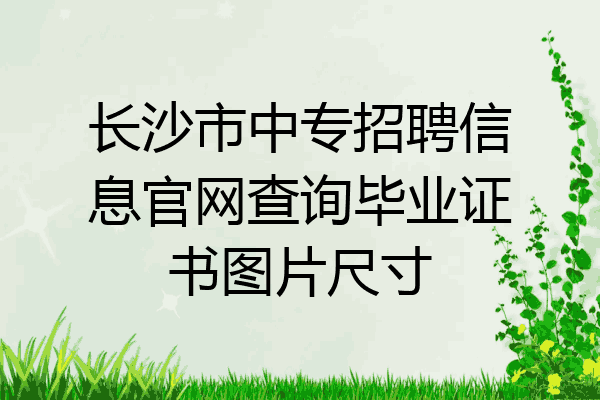 长沙市中专招聘信息官网查询毕业证书图片尺寸