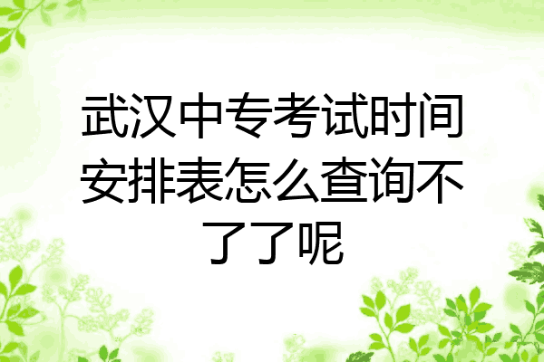 武汉中专考试时间安排表怎么查询不了了呢
