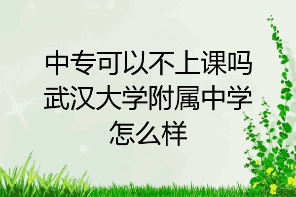 中专可以不上课吗武汉大学附属中学怎么样
