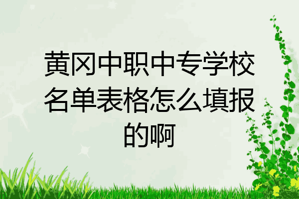 黄冈中职中专学校名单表格怎么填报的啊