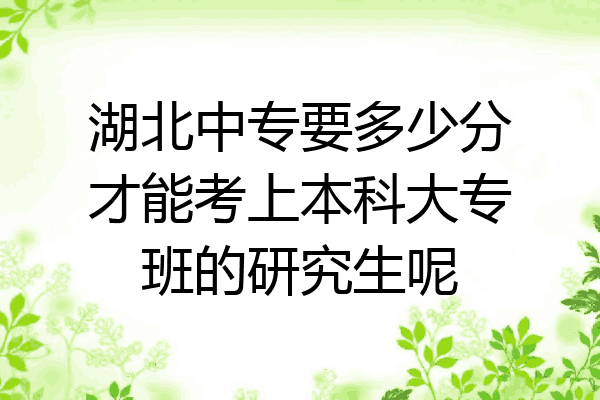 湖北中专要多少分才能考上本科大专班的研究生呢