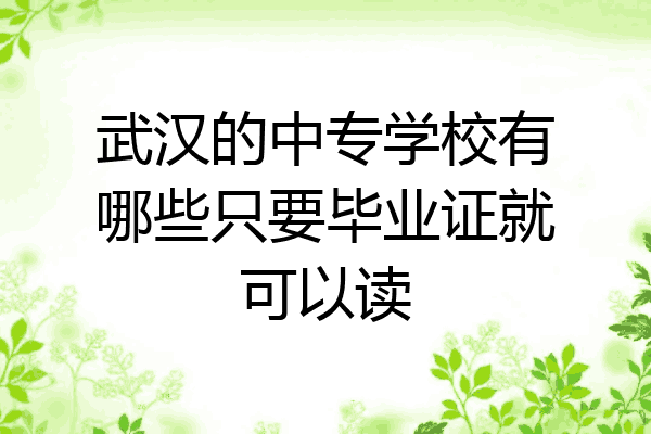 武汉的中专学校有哪些只要毕业证就可以读