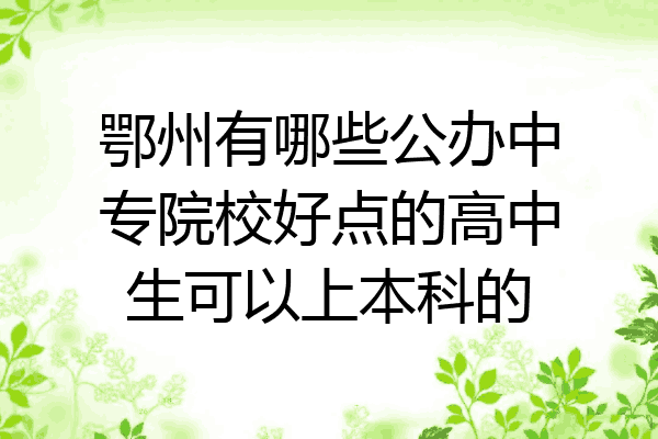 鄂州有哪些公办中专院校好点的高中生可以上本科的