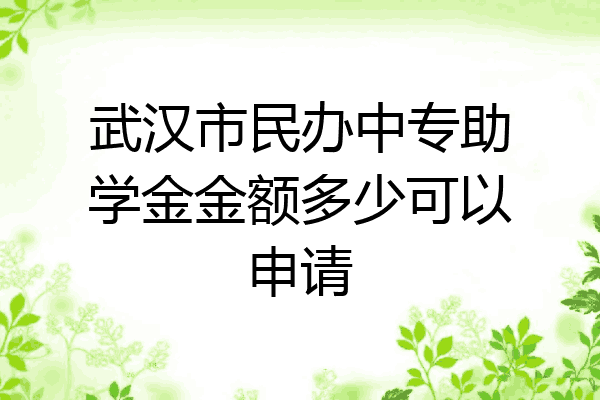 武汉市民办中专助学金金额多少可以申请