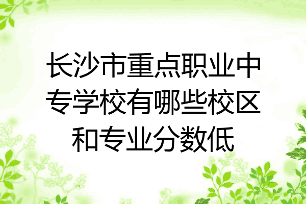 长沙市重点职业中专学校有哪些校区和专业分数低