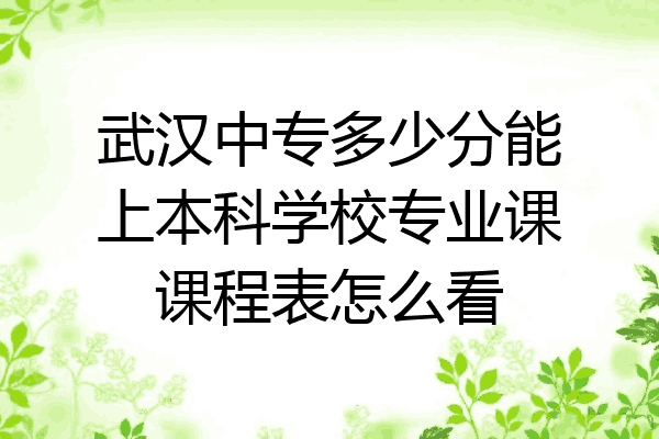 武汉中专多少分能上本科学校专业课课程表怎么看