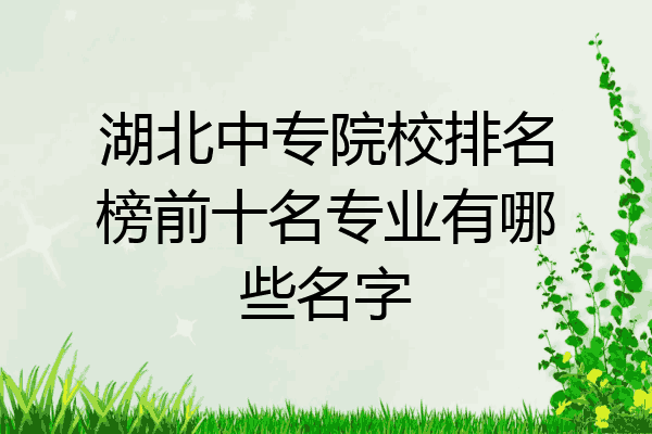 湖北中专院校排名榜前十名专业有哪些名字