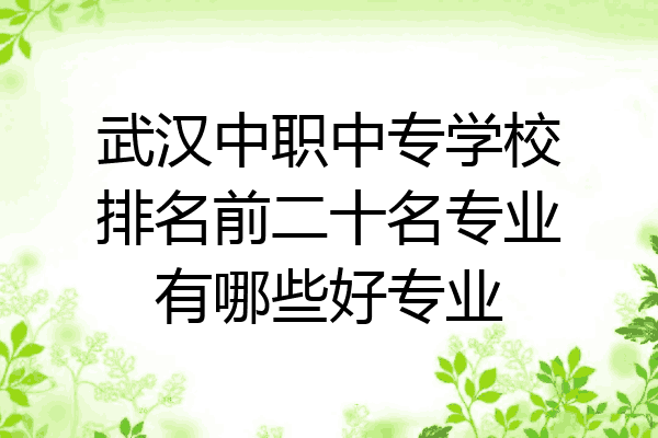武汉中职中专学校排名前二十名专业有哪些好专业
