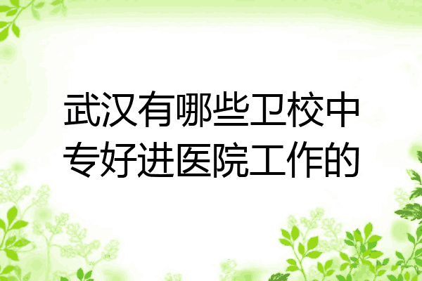 武汉有哪些卫校中专好进医院工作的