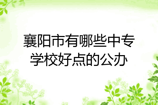 襄阳市有哪些中专学校好点的公办