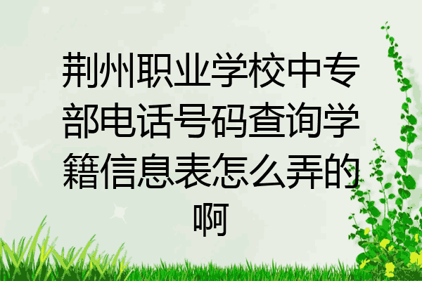 荆州职业学校中专部电话号码查询学籍信息表怎么弄的啊
