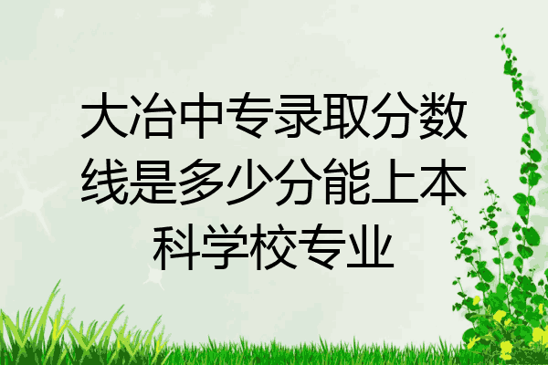 大冶中专录取分数线是多少分能上本科学校专业