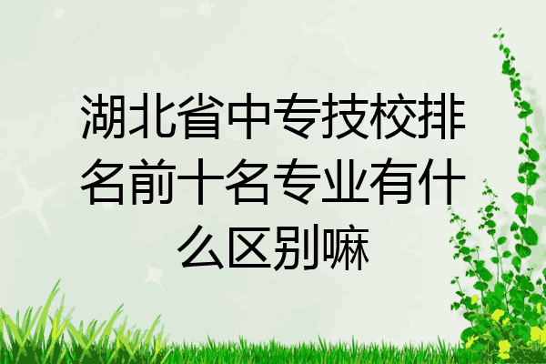 湖北省中专技校排名前十名专业有什么区别嘛