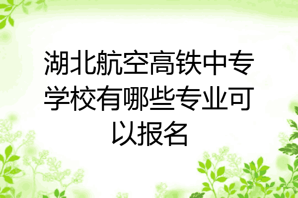 湖北航空高铁中专学校有哪些专业可以报名