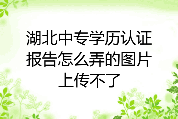 湖北中专学历认证报告怎么弄的图片上传不了