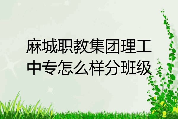 麻城职教集团理工中专怎么样分班级