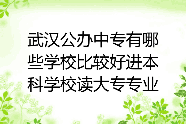 武汉公办中专有哪些学校比较好进本科学校读大专专业