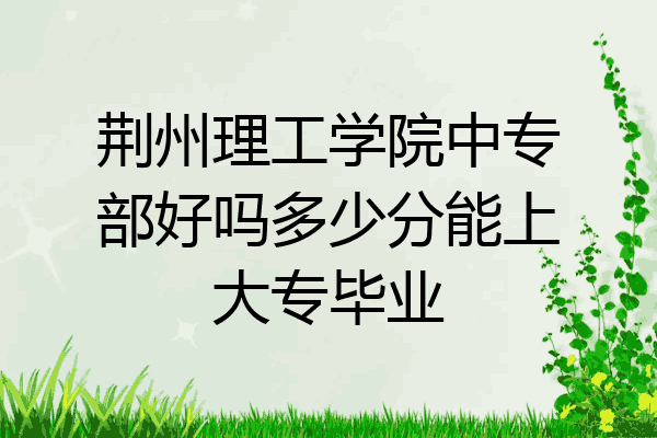 荆州理工学院中专部好吗多少分能上大专毕业
