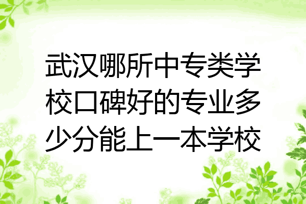 武汉哪所中专类学校口碑好的专业多少分能上一本学校
