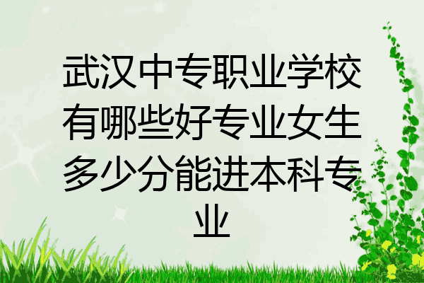 武汉中专职业学校有哪些好专业女生多少分能进本科专业