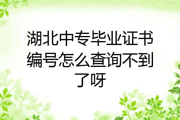 湖北中专毕业证书编号怎么查询不到了呀