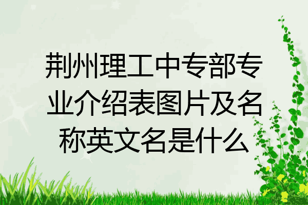 荆州理工中专部专业介绍表图片及名称英文名是什么