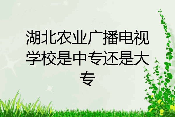 湖北农业广播电视学校是中专还是大专