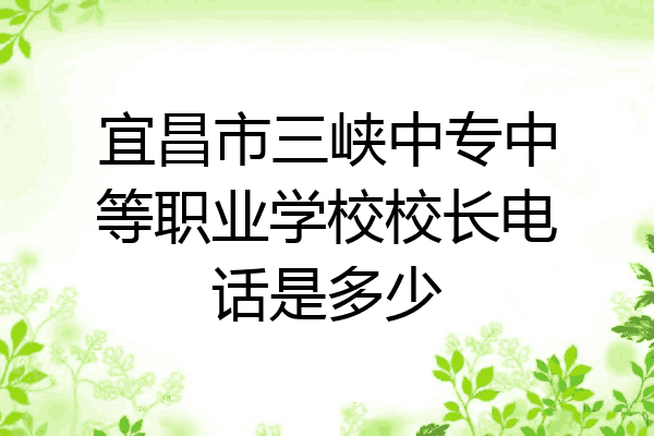 宜昌市三峡中专中等职业学校校长电话是多少