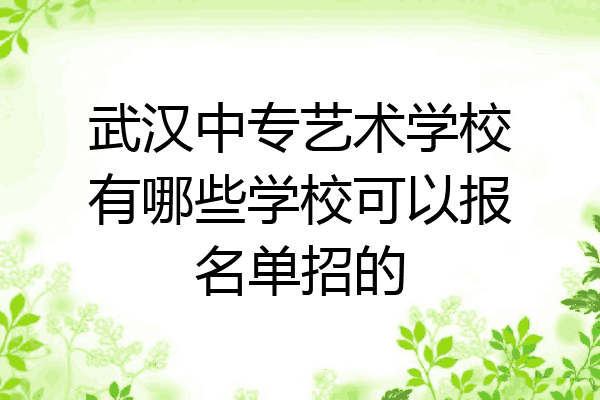 武汉中专艺术学校有哪些学校可以报名单招的